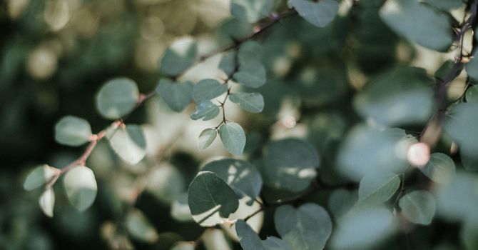 What's Going On When Your Hips Are Making Noise?